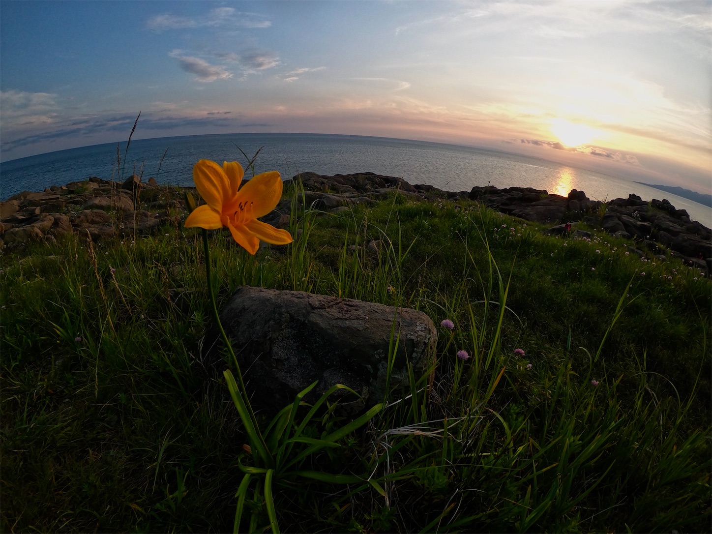 f:id:tatzro:20200713104910j:image