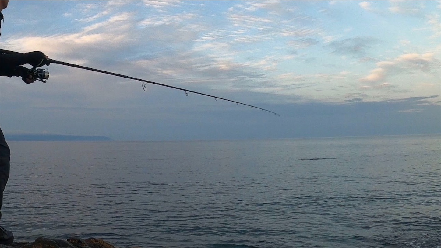 f:id:tatzro:20200713113005j:image