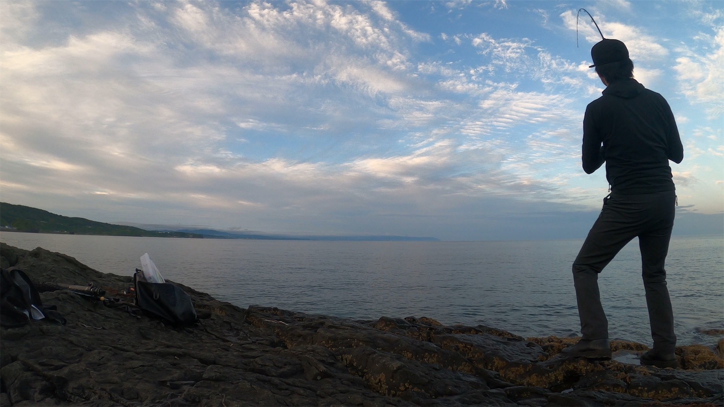 f:id:tatzro:20200713113042j:image