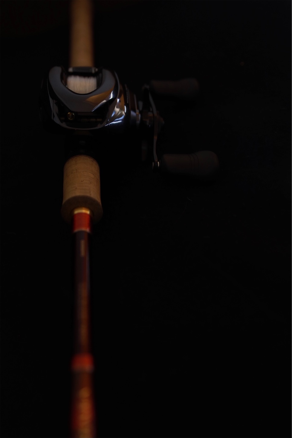 f:id:tatzro:20210208115320j:image