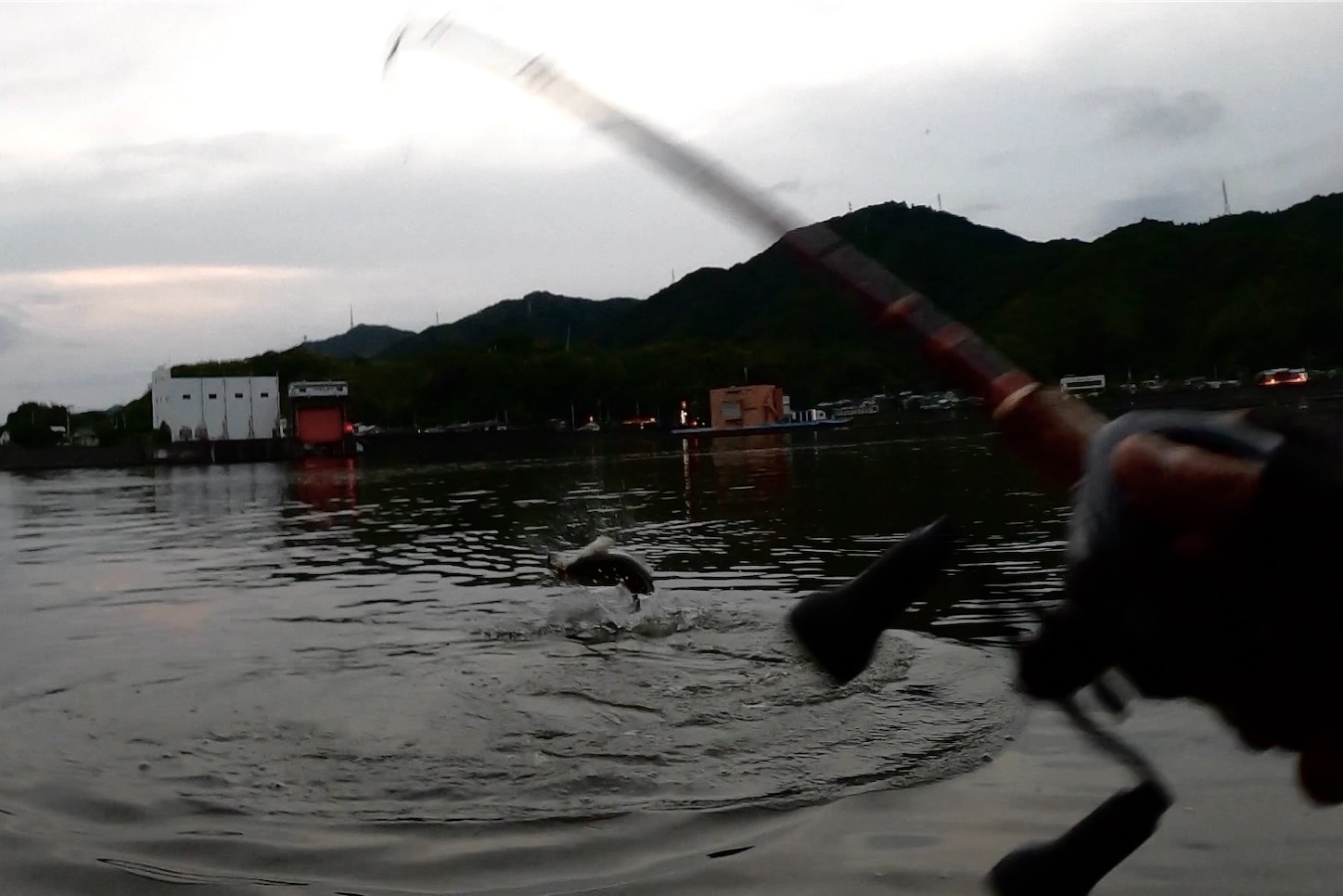 遠征組用】高知でアカメを釣りたい①タックル編 - TSURENAI北海道