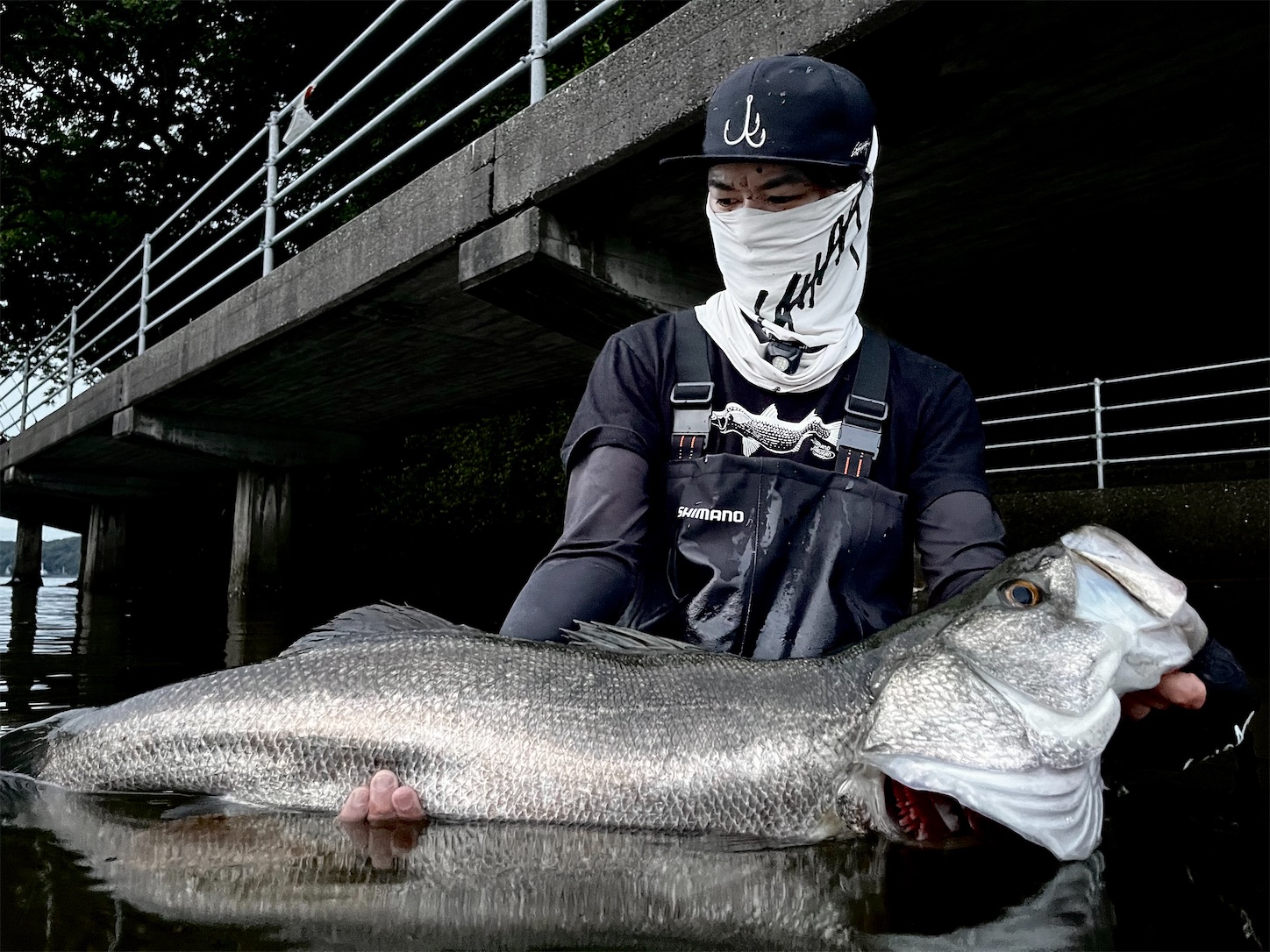 アカメ 遠征組用】高知でアカメを釣りたい①タックル編 - TSURENAI北海道