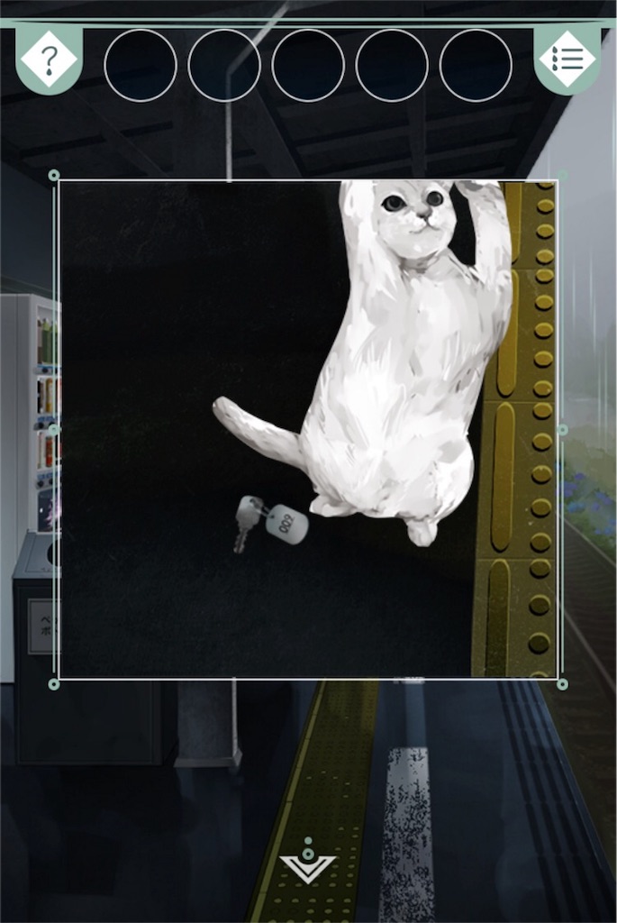 f:id:taurs-0505:20180603135117j:image f:id:taurs-0505:20180603135117j:image