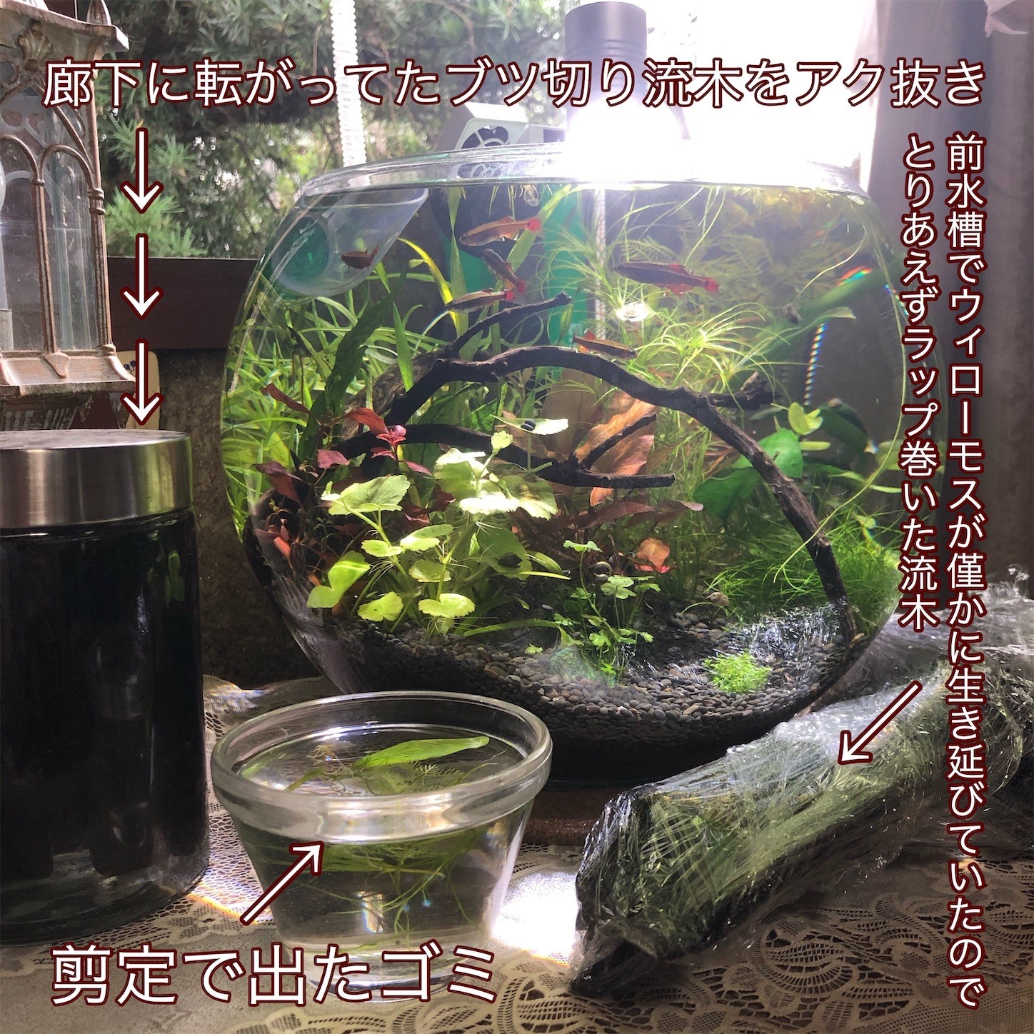 f:id:taut:20200708170014j:image f:id:taut:20200708170014j:image