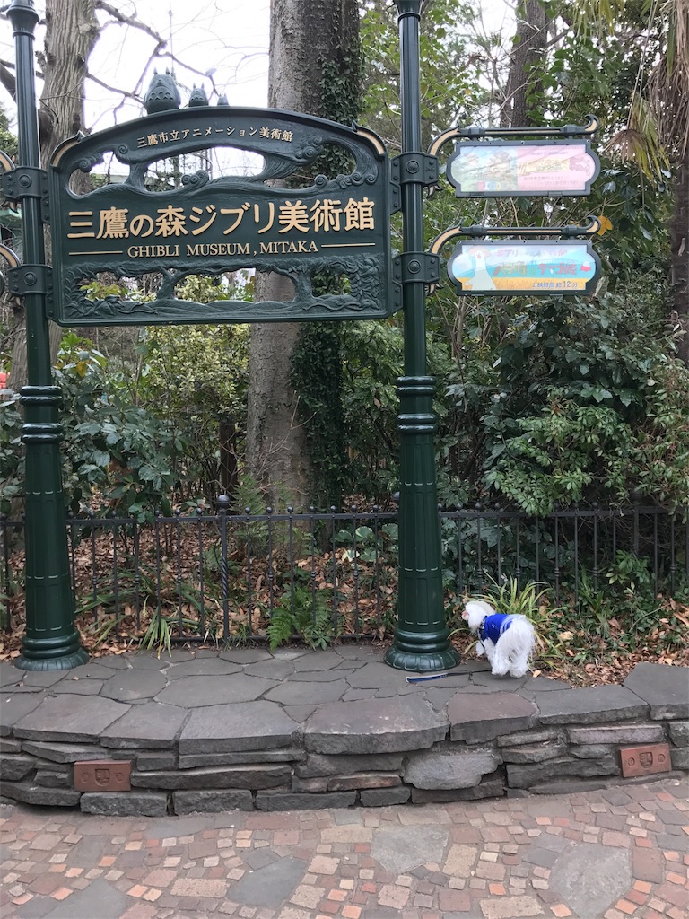 f:id:tauty:20171005152648j:image f:id:tauty:20171005152648j:image