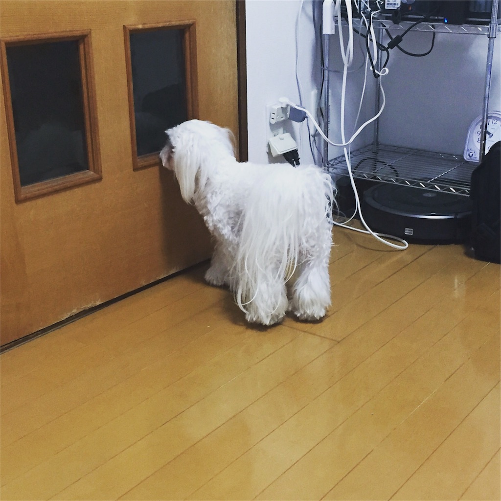 f:id:tauty:20171005170534j:image f:id:tauty:20171005170534j:image