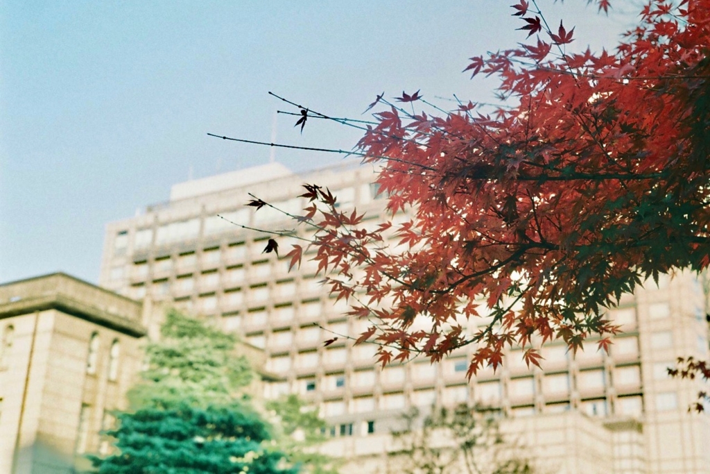 f:id:tavigayninh:20170524200425j:plain