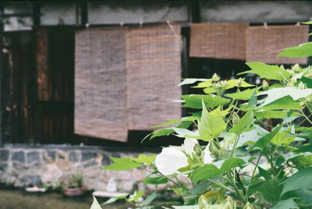 f:id:tavigayninh:20170803105043j:plain f:id:tavigayninh:20170803105043j:plain