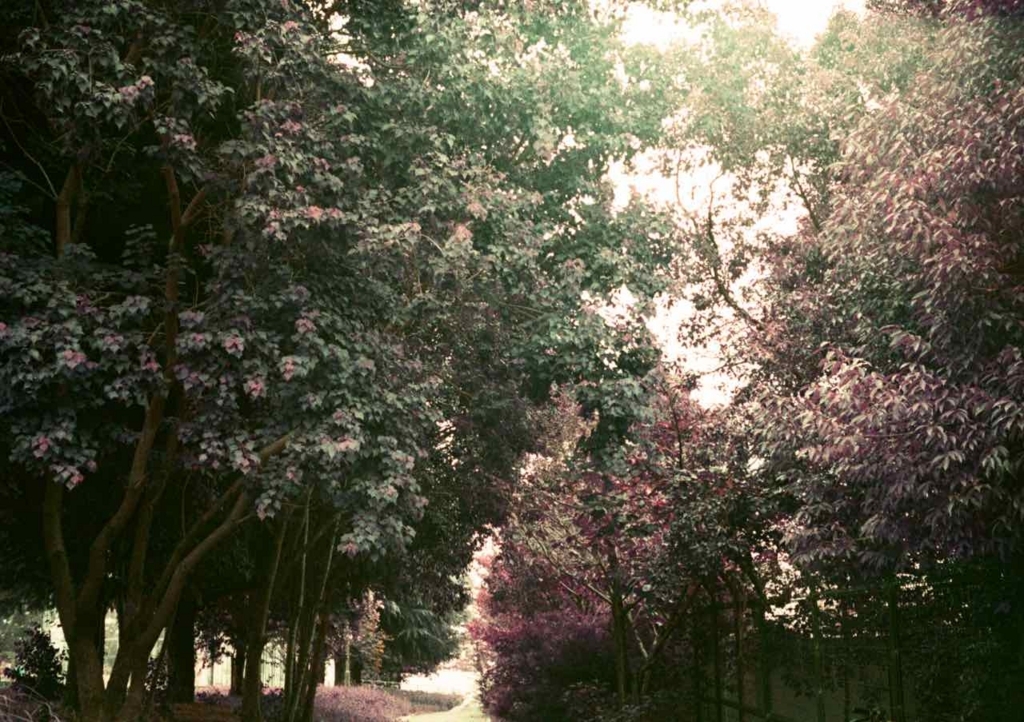 f:id:tavigayninh:20170911061627j:plain f:id:tavigayninh:20170911061627j:plain