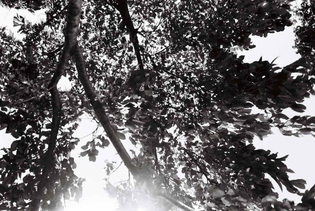 f:id:tavigayninh:20170924071516j:plain f:id:tavigayninh:20170924071516j:plain