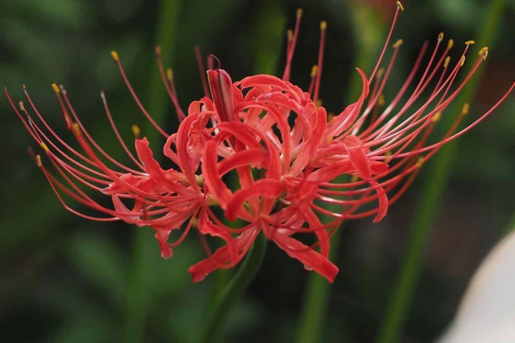 f:id:tavigayninh:20170924202611j:plain f:id:tavigayninh:20170924202611j:plain