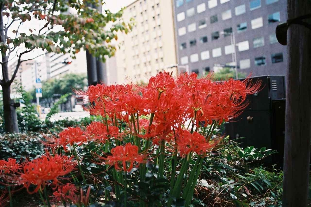 f:id:tavigayninh:20170926045715j:plain f:id:tavigayninh:20170926045715j:plain