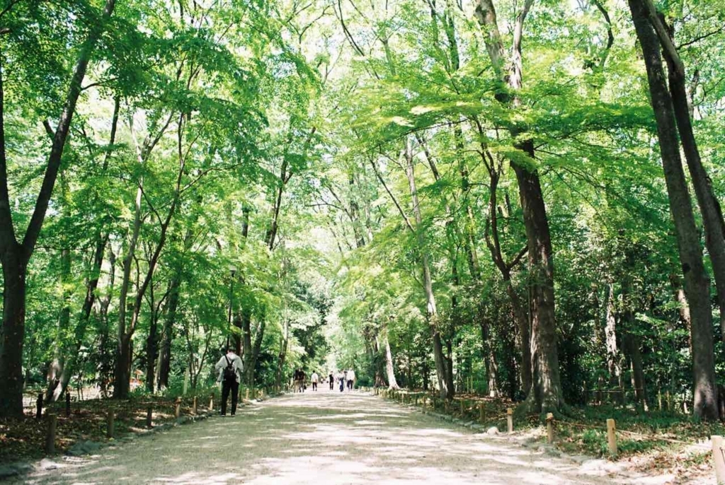 f:id:tavigayninh:20170927064059j:plain