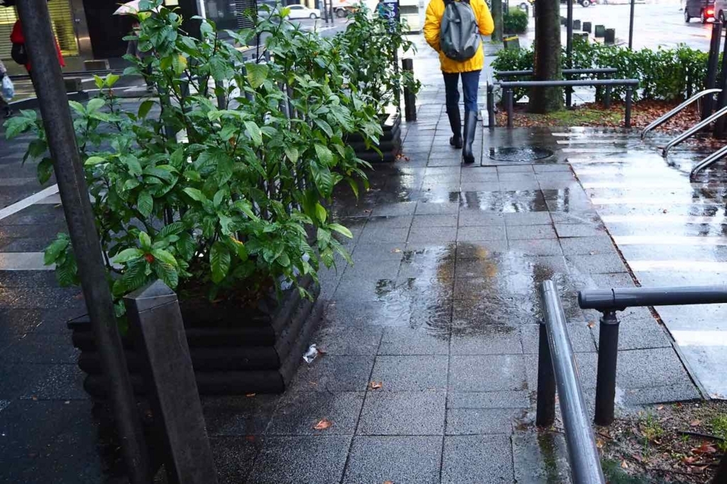 f:id:tavigayninh:20171119090506j:plain