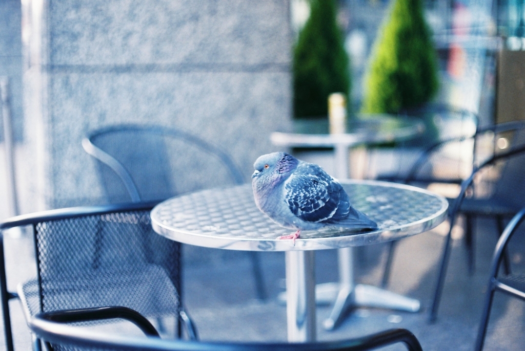 f:id:tavigayninh:20171122060702j:plain