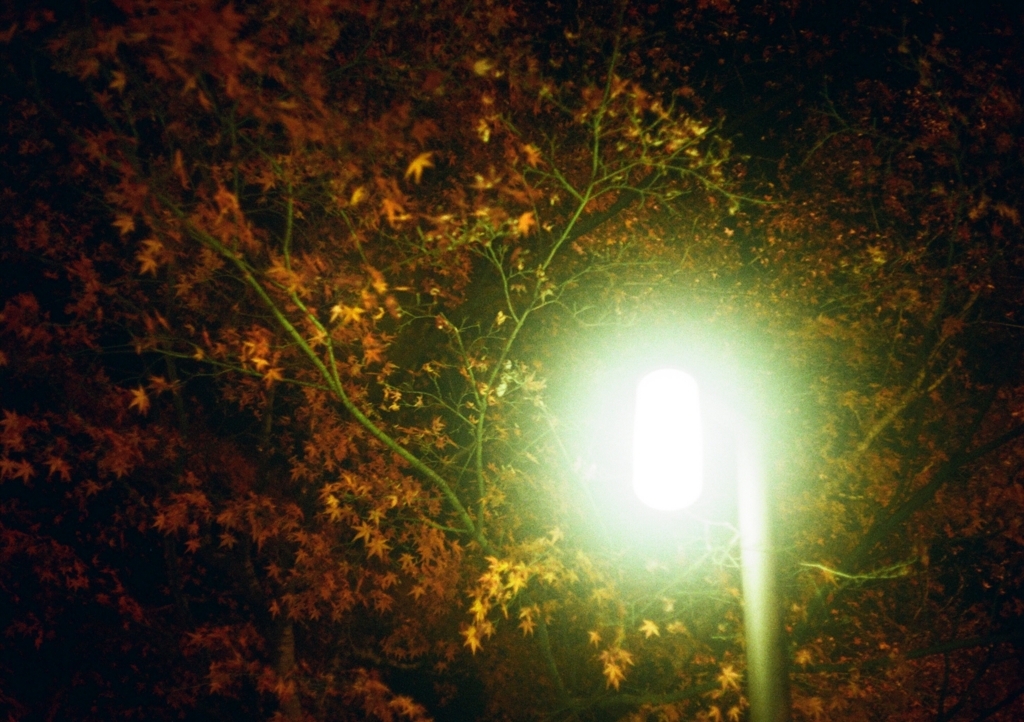 f:id:tavigayninh:20180104082917j:plain f:id:tavigayninh:20180104082917j:plain