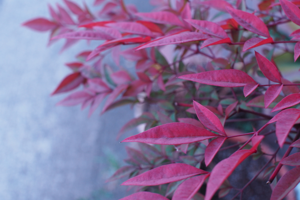 f:id:tavigayninh:20180120073521j:plain f:id:tavigayninh:20180120073521j:plain