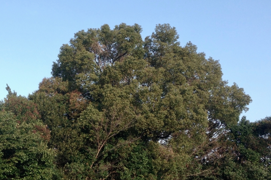 f:id:tavigayninh:20180205061531j:plain