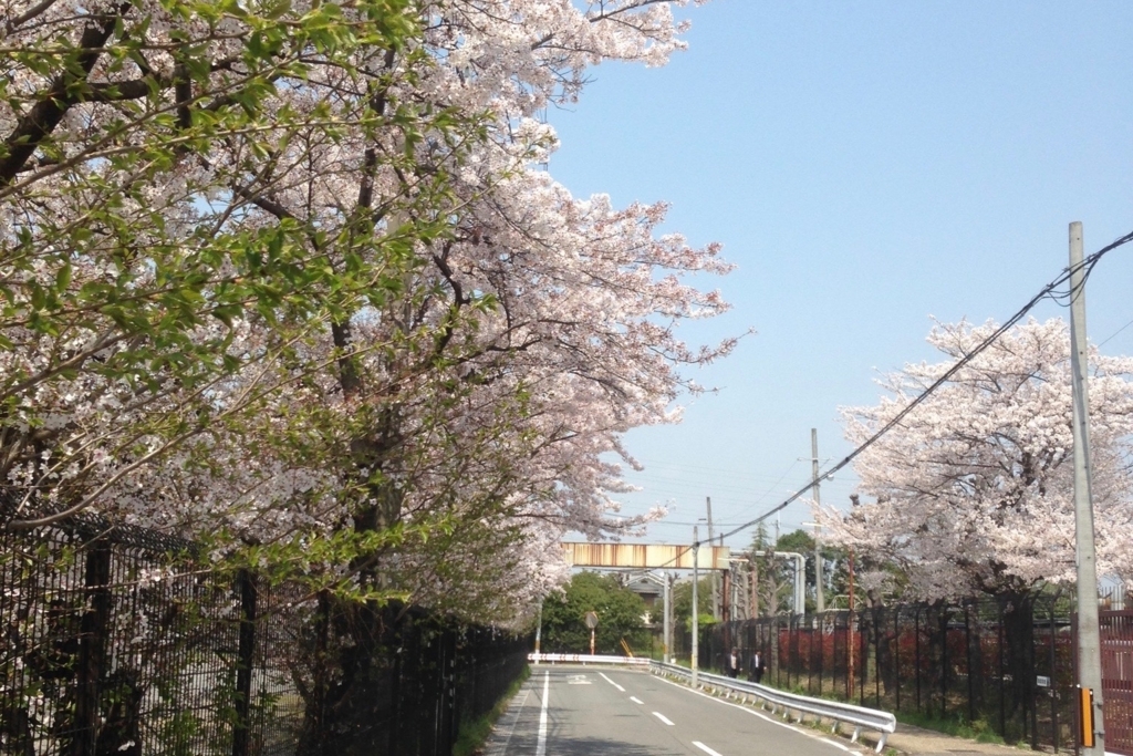 f:id:tavigayninh:20180313093823j:plain f:id:tavigayninh:20180313093823j:plain