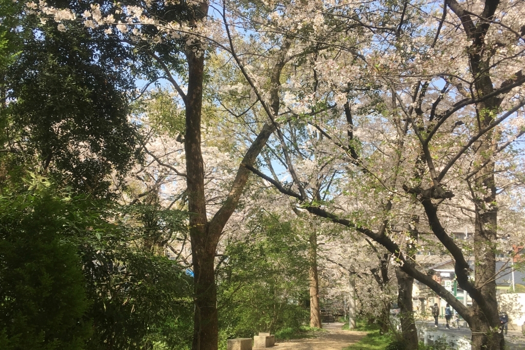 f:id:tavigayninh:20180401055851j:plain