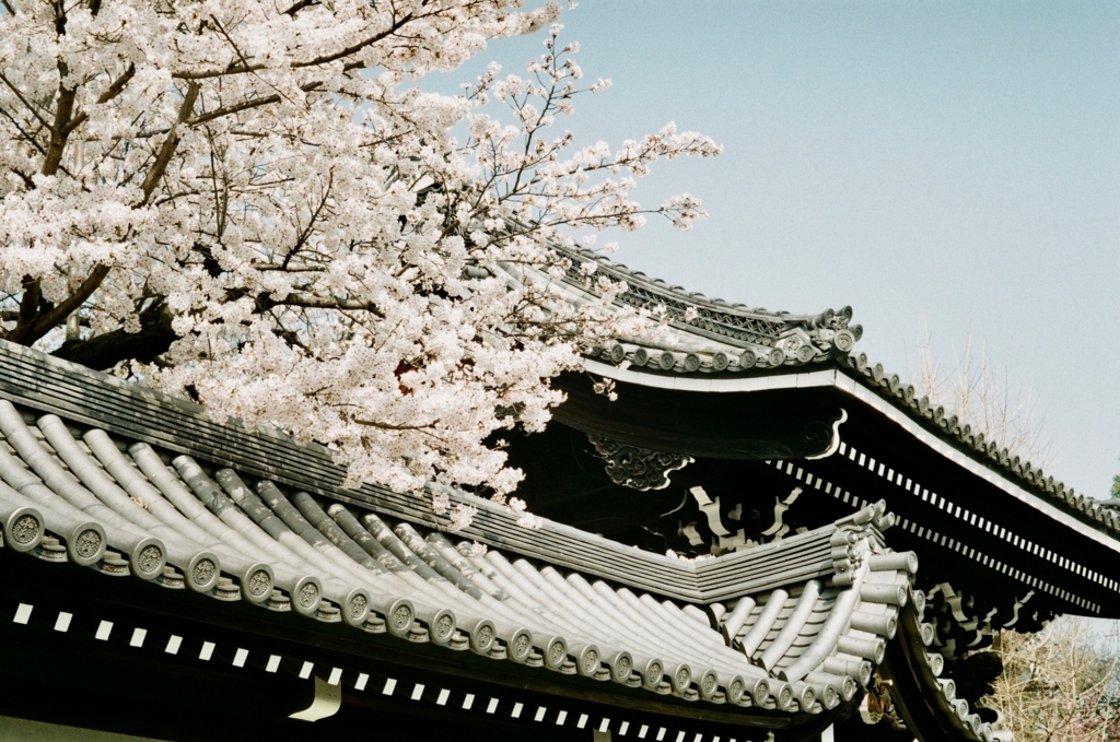 f:id:tavigayninh:20180402071505j:plain