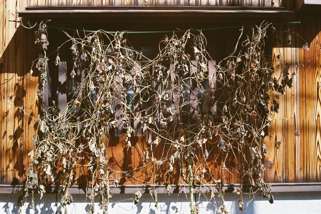 f:id:tavigayninh:20180409054827j:plain f:id:tavigayninh:20180409054827j:plain