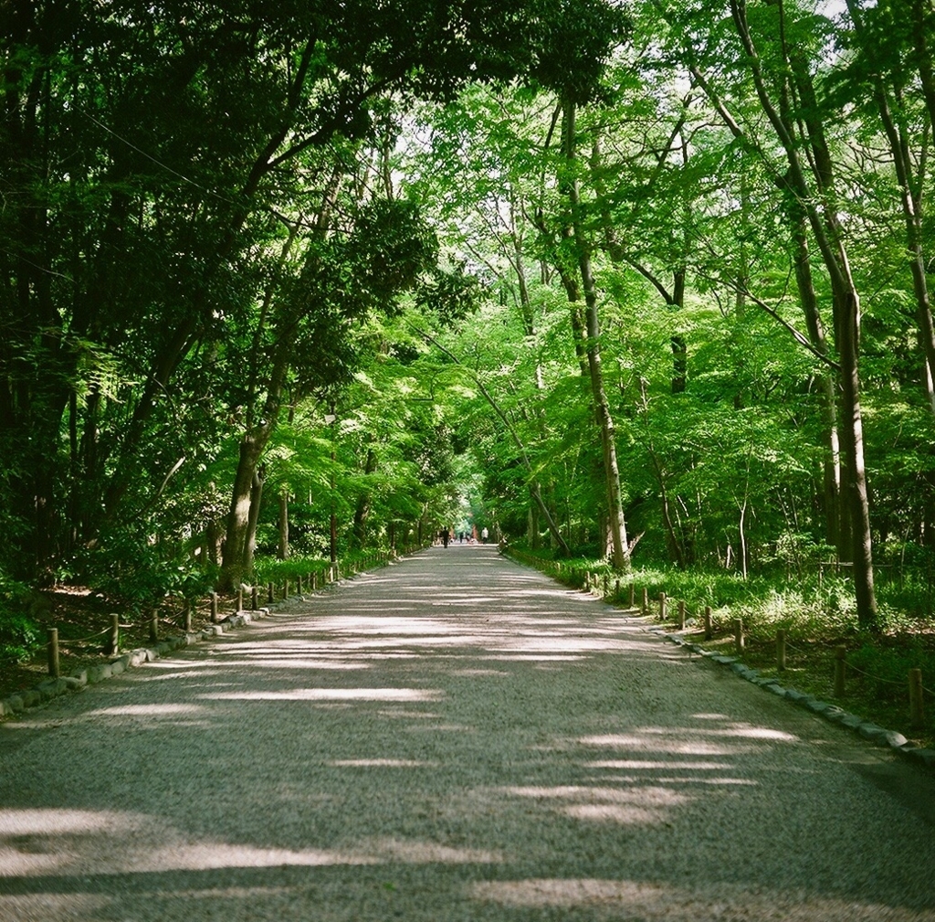 f:id:tavigayninh:20180503060946j:plain f:id:tavigayninh:20180503060946j:plain