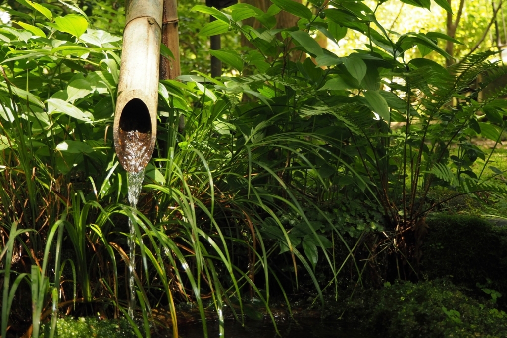 f:id:tavigayninh:20180506060107j:plain f:id:tavigayninh:20180506060107j:plain