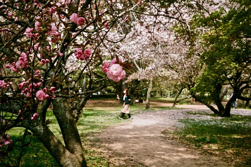 f:id:tavigayninh:20180507153926j:plain