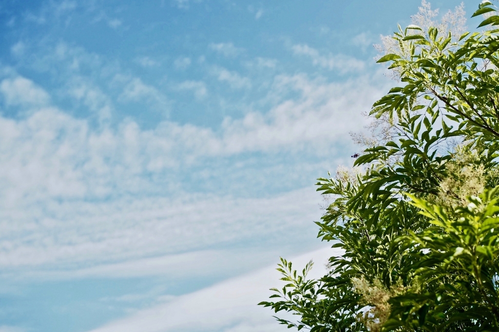 f:id:tavigayninh:20180524062230j:plain