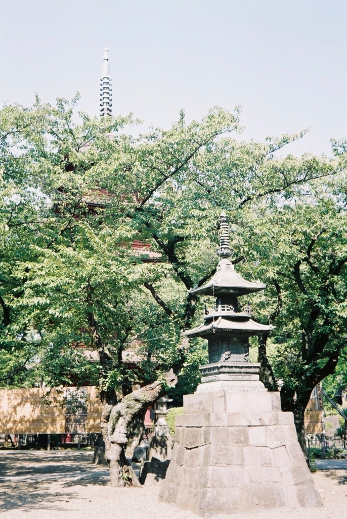 f:id:tavigayninh:20180804071245j:plain