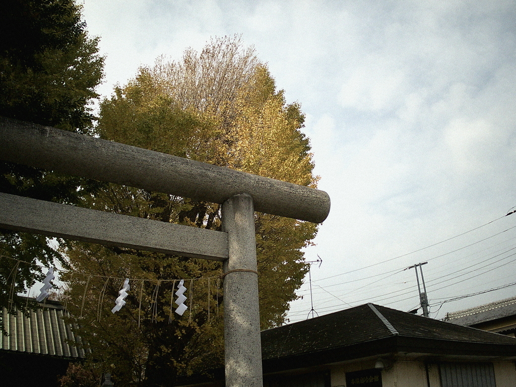 f:id:tavigayninh:20181112131643j:plain