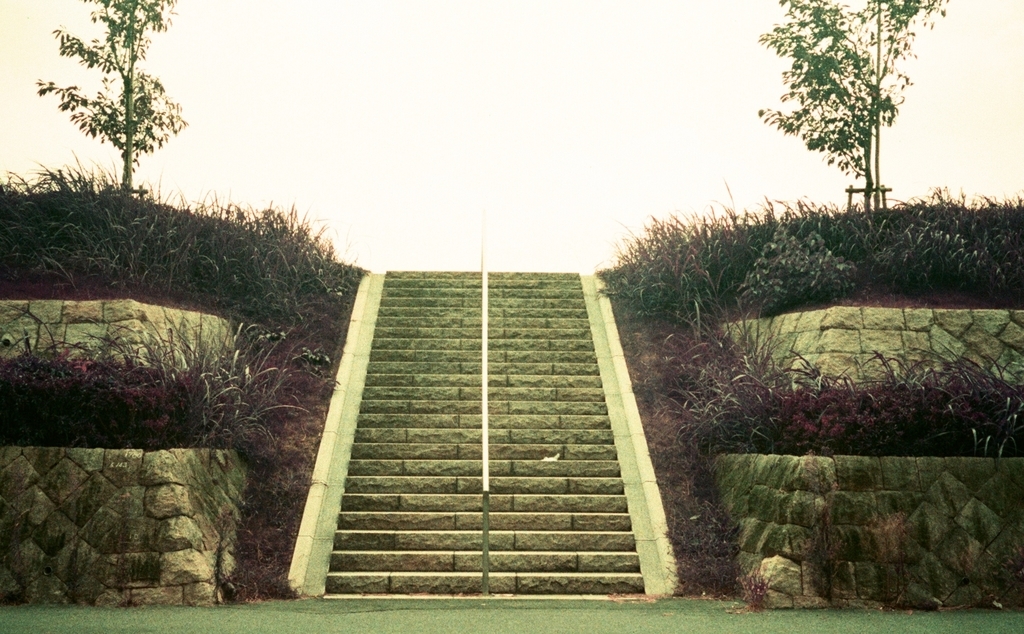 f:id:tavigayninh:20181121055103j:plain f:id:tavigayninh:20181121055103j:plain