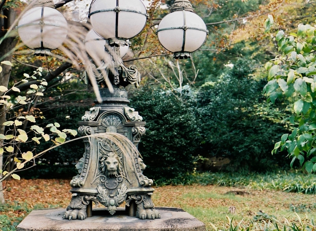 f:id:tavigayninh:20181128060913j:plain f:id:tavigayninh:20181128060913j:plain