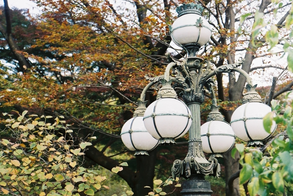 f:id:tavigayninh:20181128061313j:plain f:id:tavigayninh:20181128061313j:plain