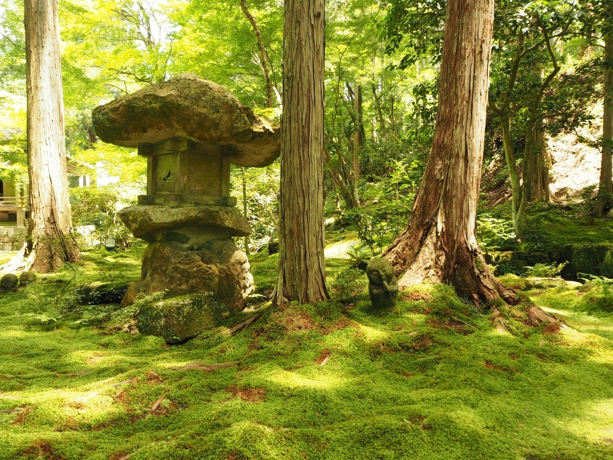 f:id:tavigayninh:20190711054551j:plain