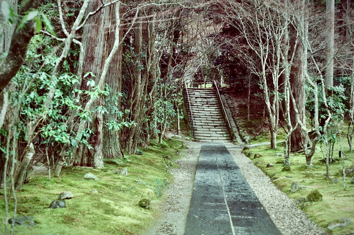 f:id:tavigayninh:20200203055006j:plain f:id:tavigayninh:20200203055006j:plain