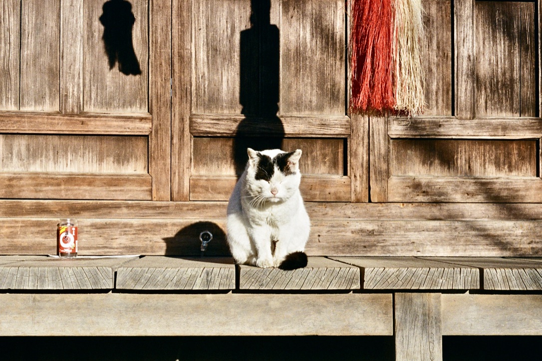 f:id:tavigayninh:20210909155837j:plain