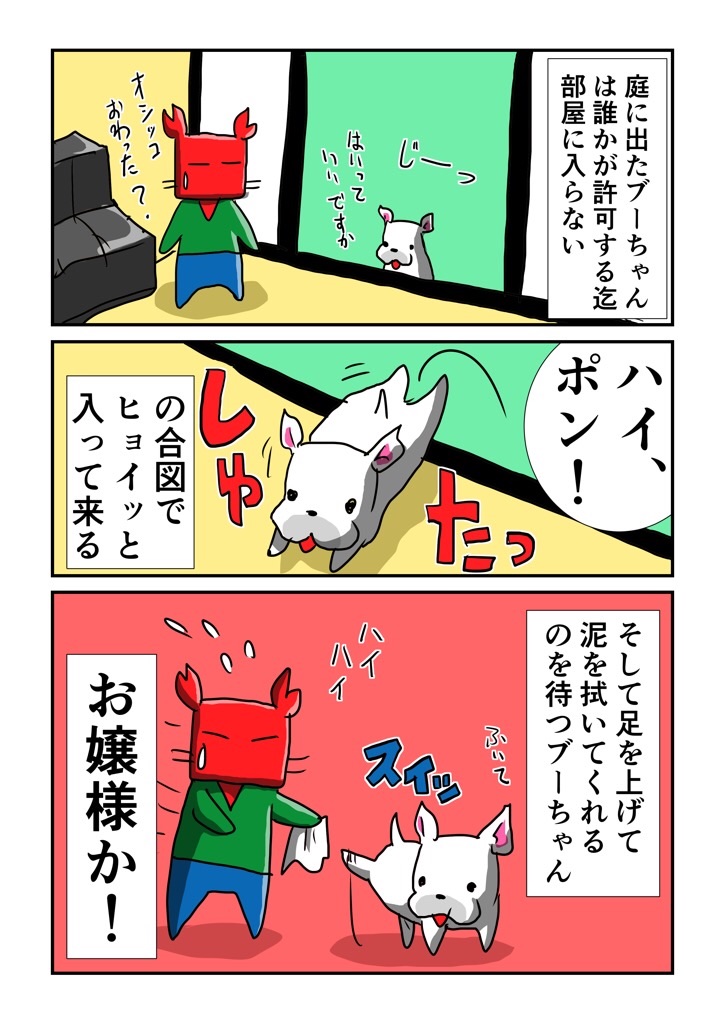 f:id:tawabagani:20201118220116j:image