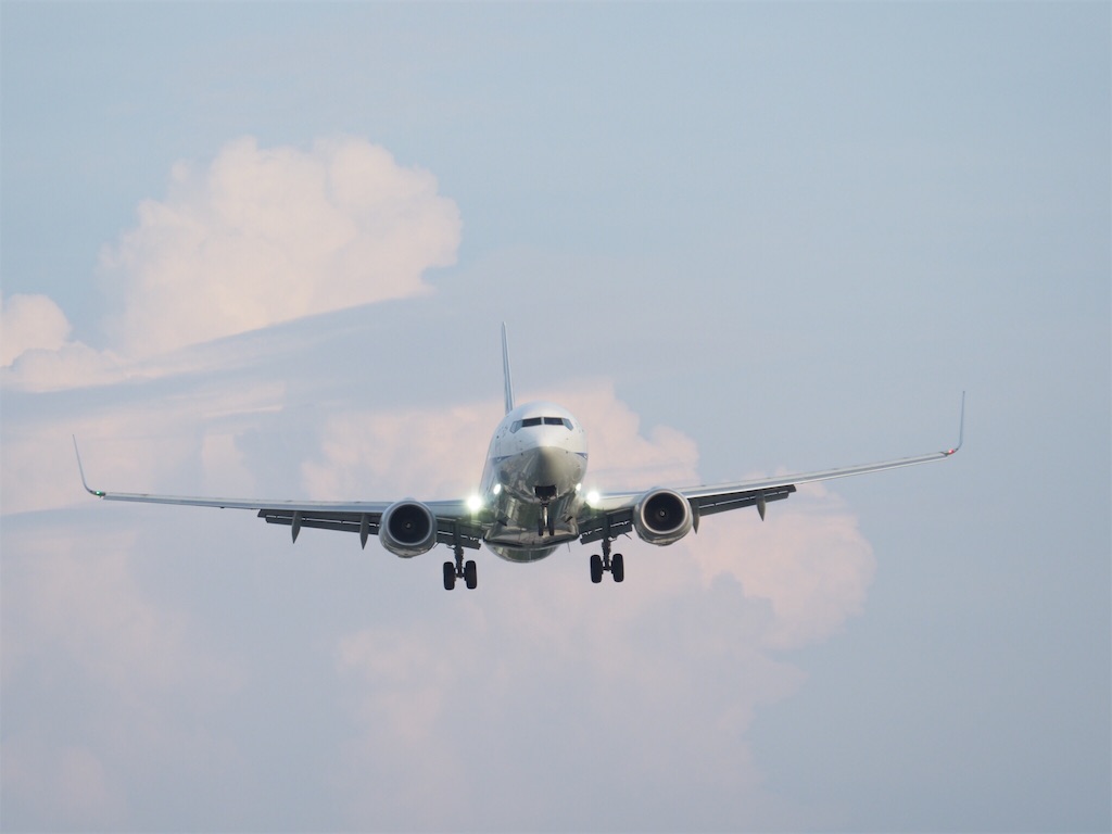 f:id:tawabon239:20170822030431j:image f:id:tawabon239:20170822030431j:image