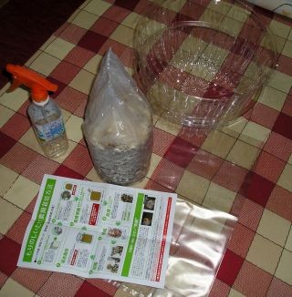 f:id:tawashiatama:20110421144019j:image