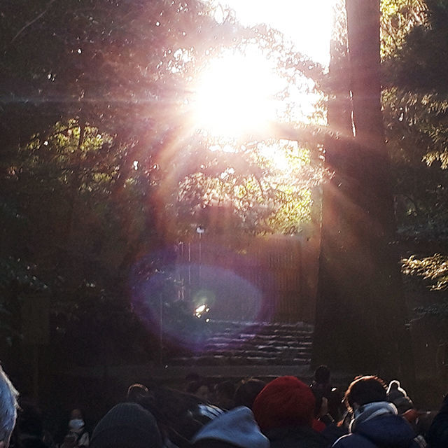 節約 新年 神馬