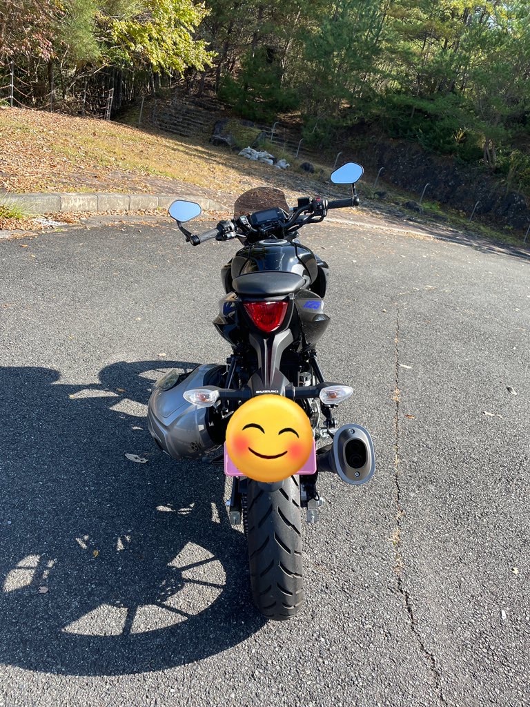 GSX-S125にバーエンドミラーを付けた話 - 趣味についての諸々(taws)