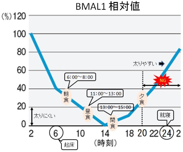 食べ て も 太ら ない 時間 帯 グラフ