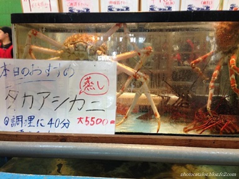 f:id:tax-life:20190325081143j:plain