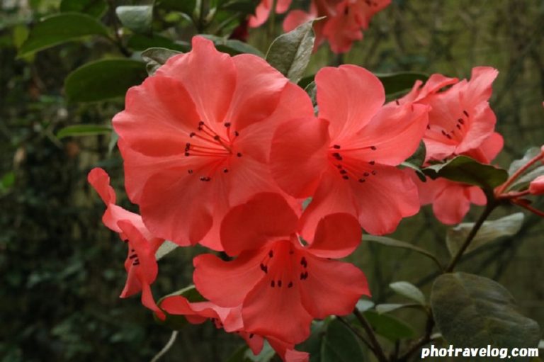 f:id:tax-life:20190407064534j:plain