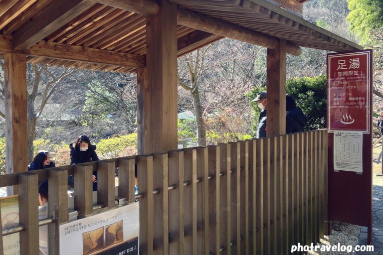 f:id:tax-life:20190421192905j:plain