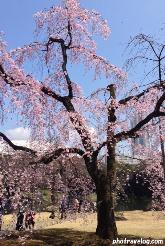 f:id:tax-life:20190422073335j:plain