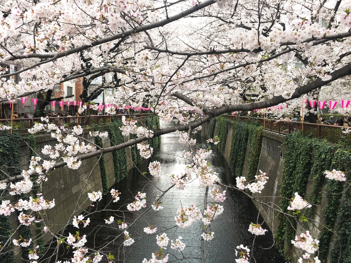 f:id:tayami38:20190401211000j:plain f:id:tayami38:20190401211000j:plain