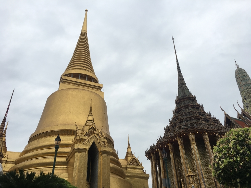 f:id:taylorchan:20190131200639j:plain f:id:taylorchan:20190131200639j:plain